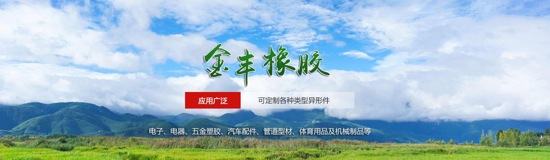 萊蕪市萊城區(qū)金豐橡膠制品經(jīng)營部